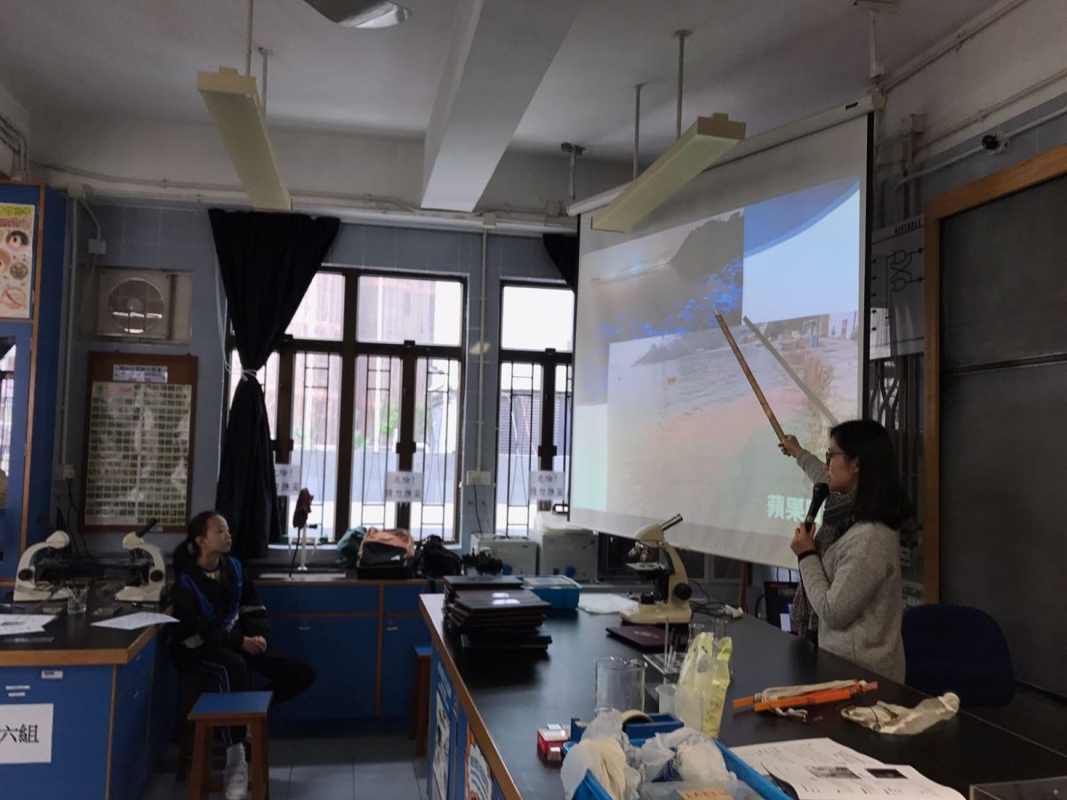 Outreach workshop – S.K.H. All Saints Middle School ‘Plankton Go’