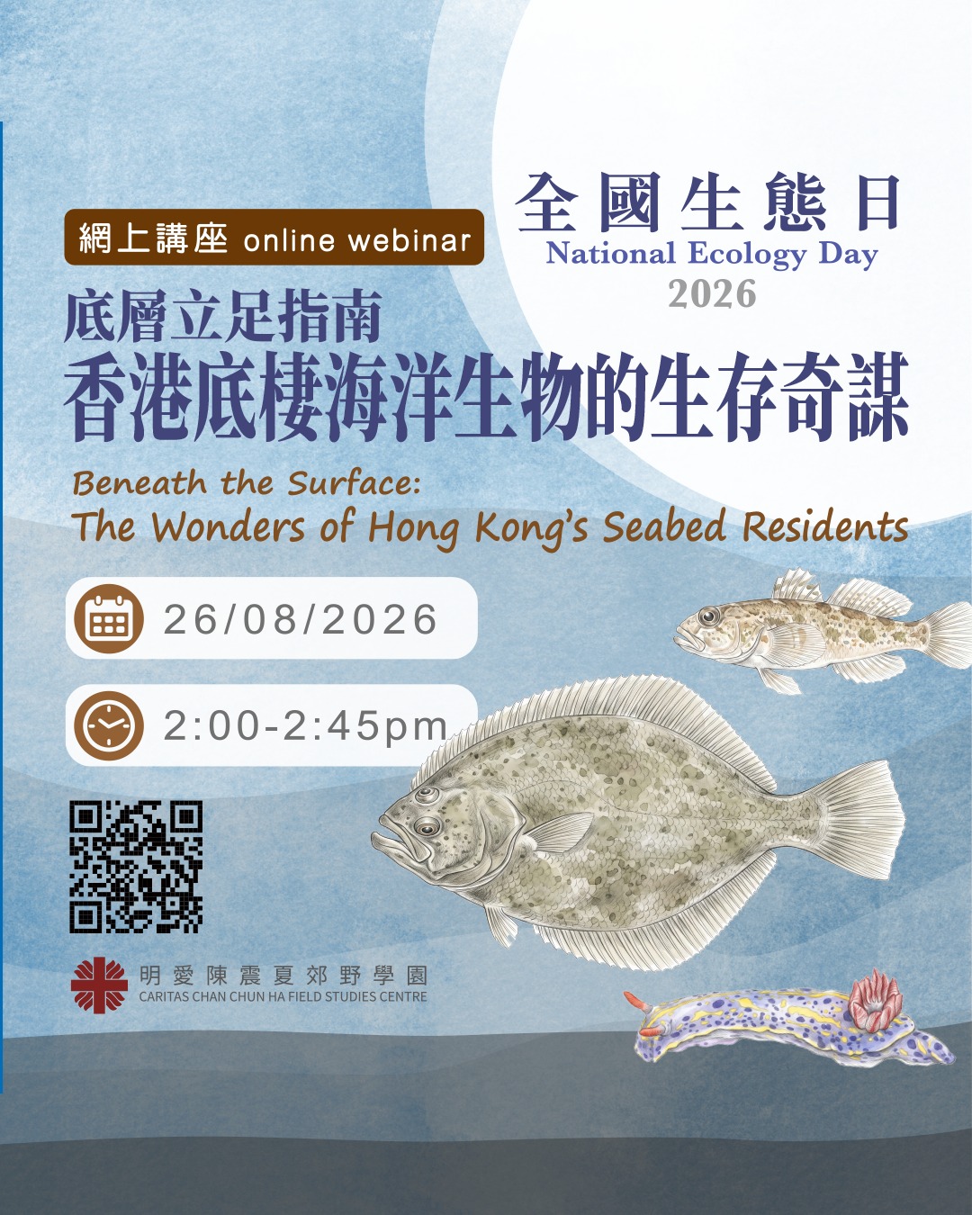 2026年全國生態日-底層立足指南– 香港底棲海洋生物的生存奇謀講座