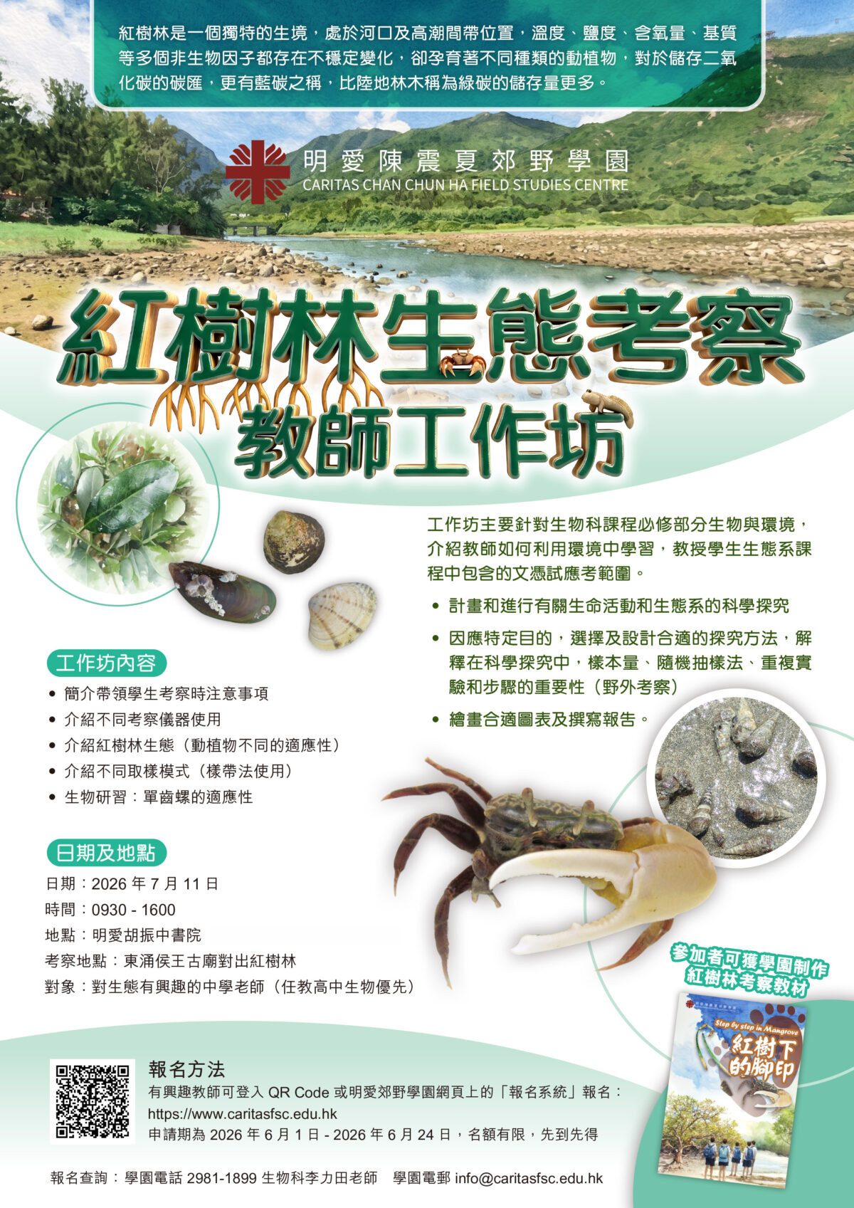 紅樹林生態考察教師工作坊