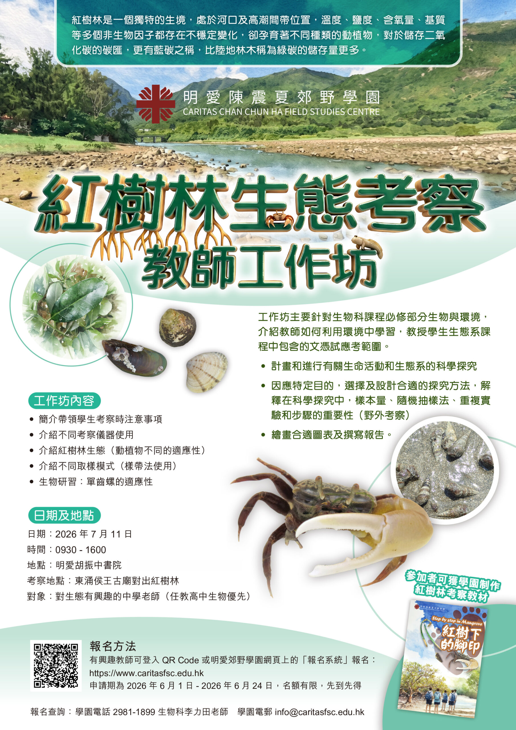 紅樹林生態考察教師工作坊